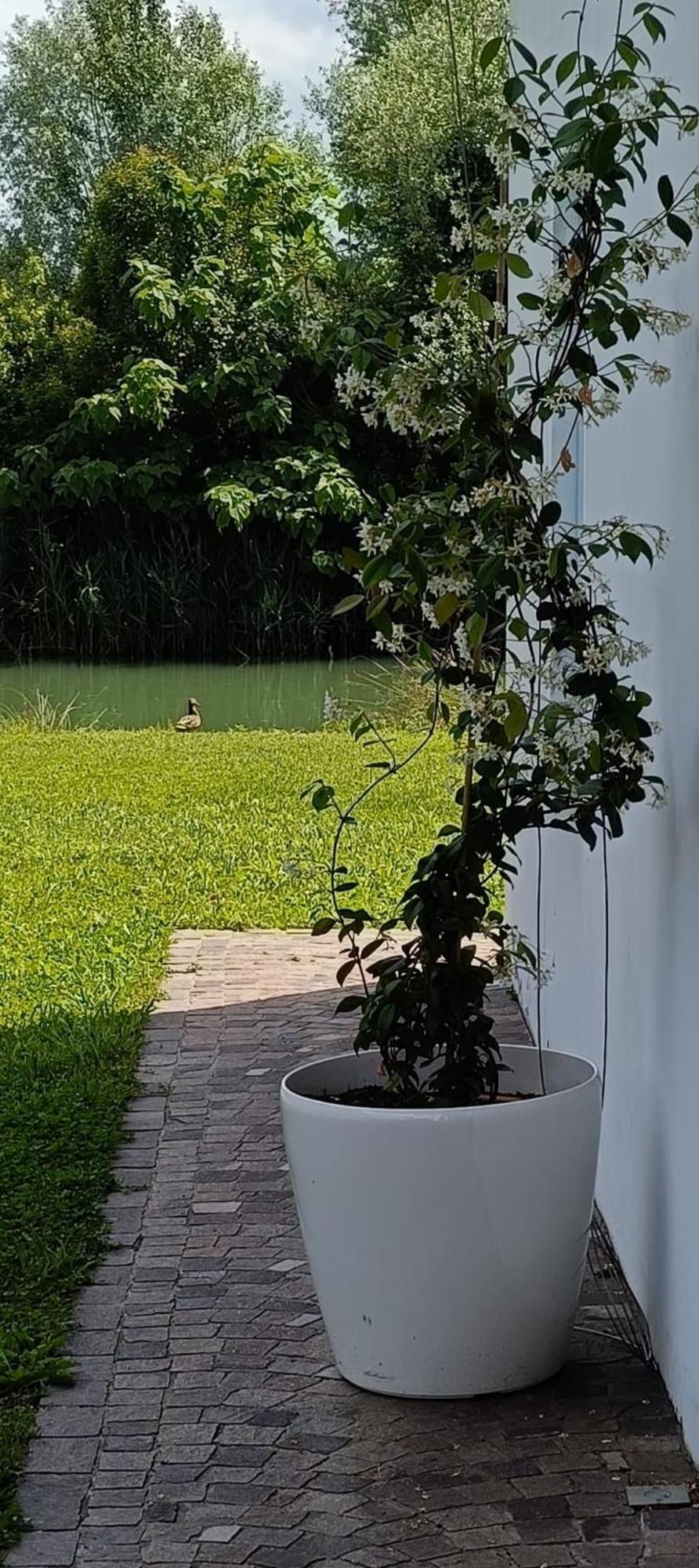 Locazione Riv'Al Sile Hotel Quinto Di Treviso Eksteriør billede
